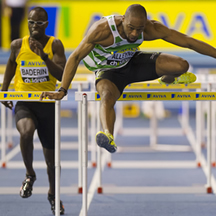 Aviva expat pension annuity business suspended